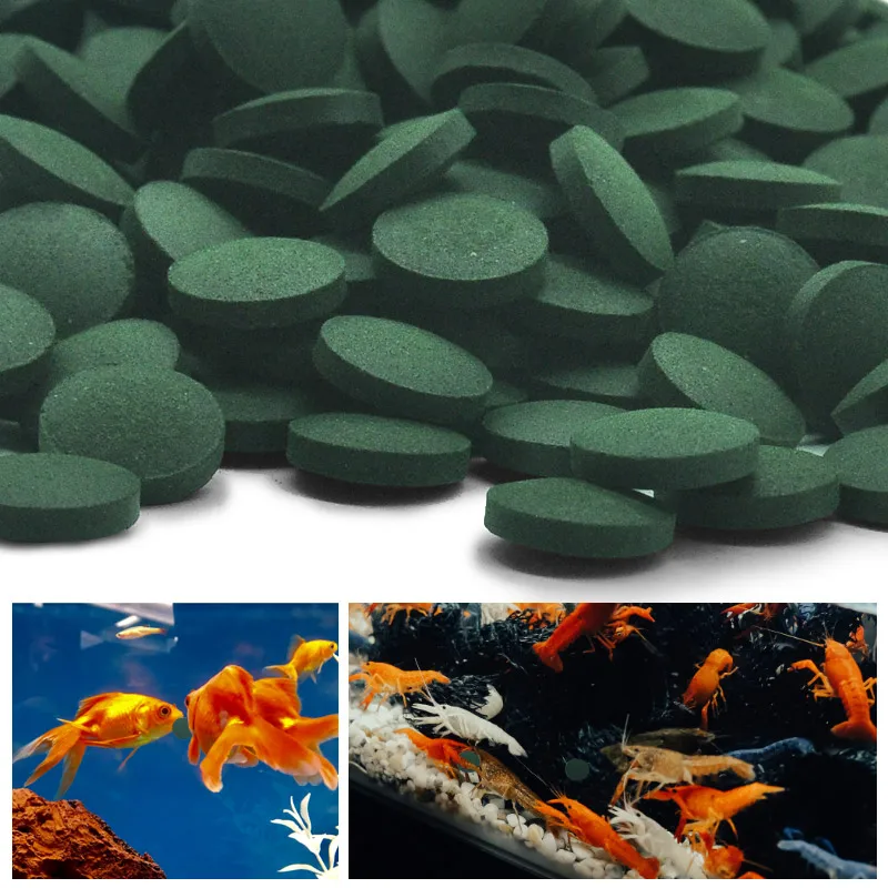 Aquarium Fish Vitamin - 100 buah tablet Spirulina Spiral kemurnian