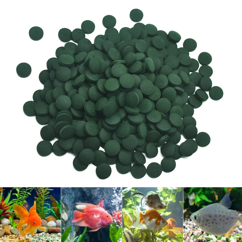 Aquarium Fish Vitamin - 100/500 Buah Tablet Spirulina Pengayaan Makanan
