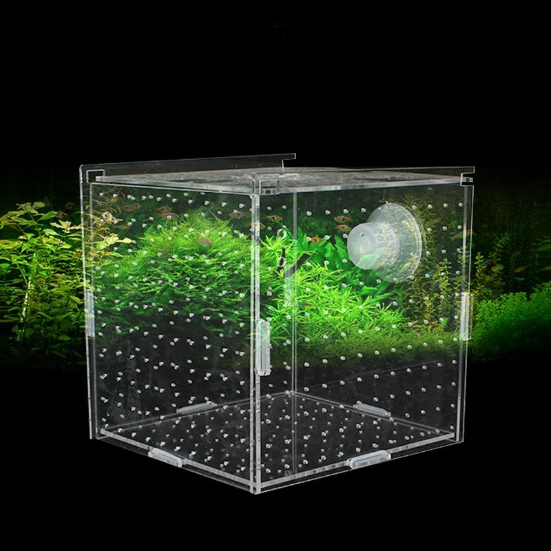 Aquarium Fish Net Small - Akrilik Kotak Isolasi Tangki Ikan Transparan