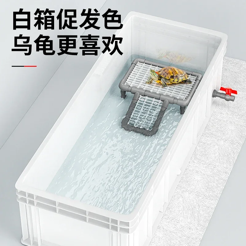 Fish Co Aquarium - Akuarium kura-kura besar, filter dasar kolam