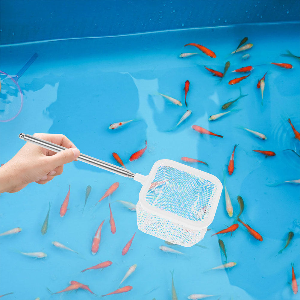 Aquarium Fish Net Small - 2Pcs Jaring Akuarium Stainless Steel yang