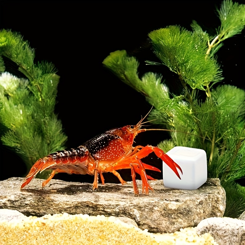Aquarium Fish Lego - 6 Pcs Blok Kalsium Mineral untuk