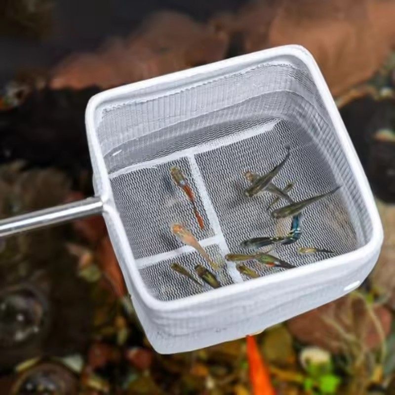 Alat Pembersih Akuarium Jaring - Aquarium Fish Net Small ulasan dan harga