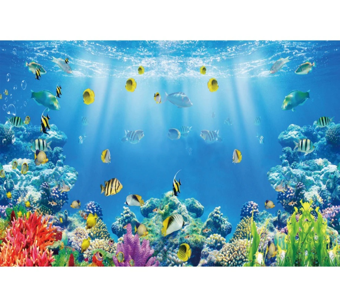 Latar Belakang Fotografi Tema  - Aquarium Fish World ulasan dan harga