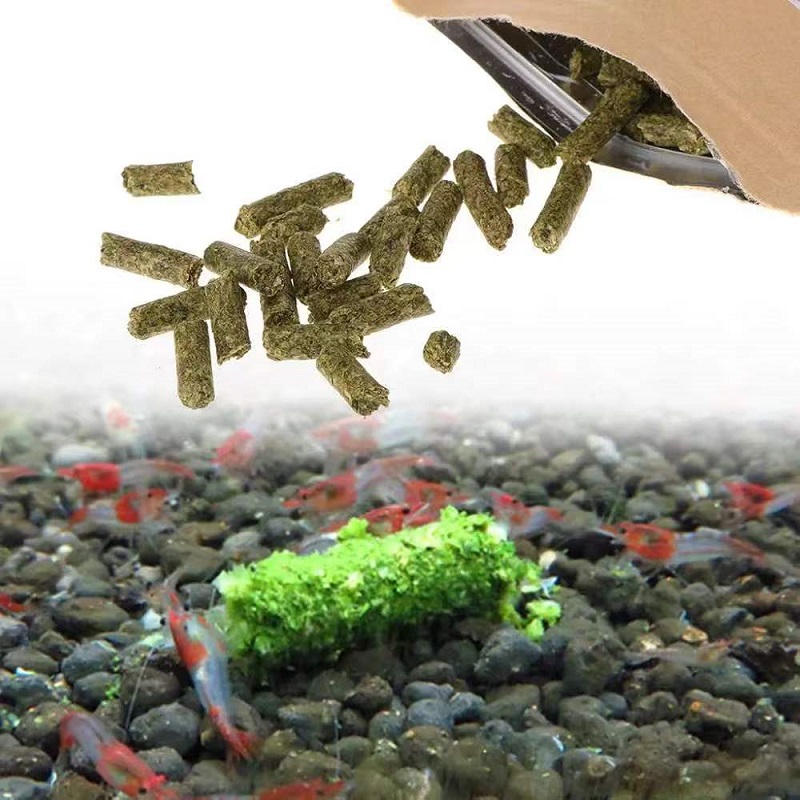 Pakan Udang Bayam, Pakan Udang - Aquarium Fish Vitamin ulasan dan harga