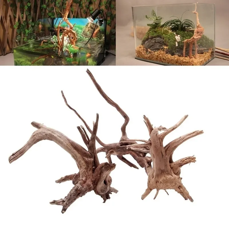 Pohon alami kayu apung akuariu - Aquarium Fish Enrichment ulasan dan harga