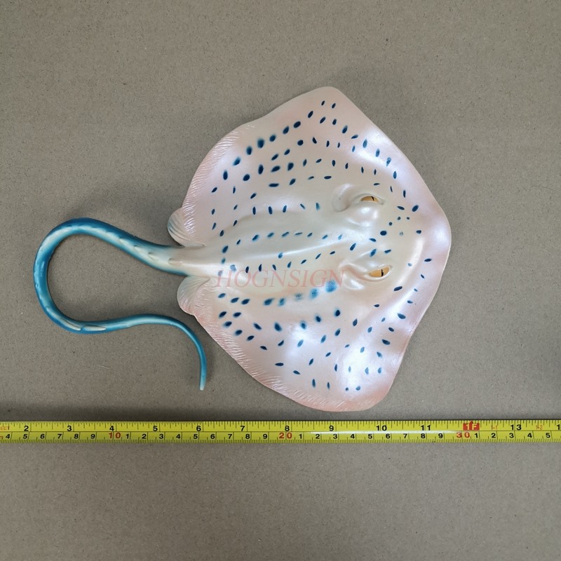 Mainan Model Hewan Akuarium Du - Aquarium Fish Market ulasan dan harga