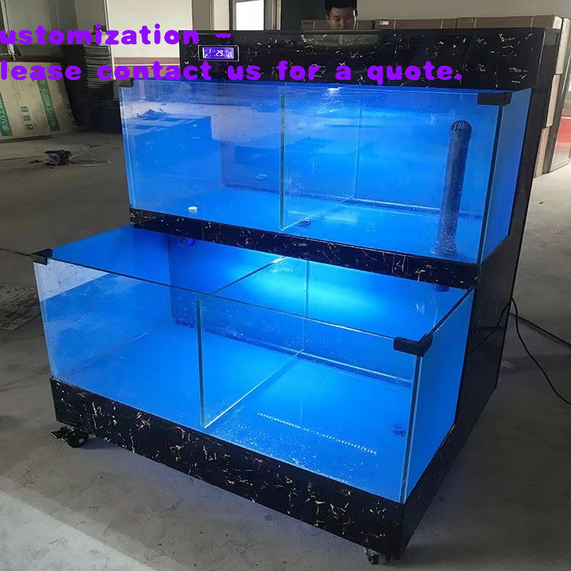 Akuarium Bentuk Persegi Panjan - Aquarium Fish Market ulasan dan harga