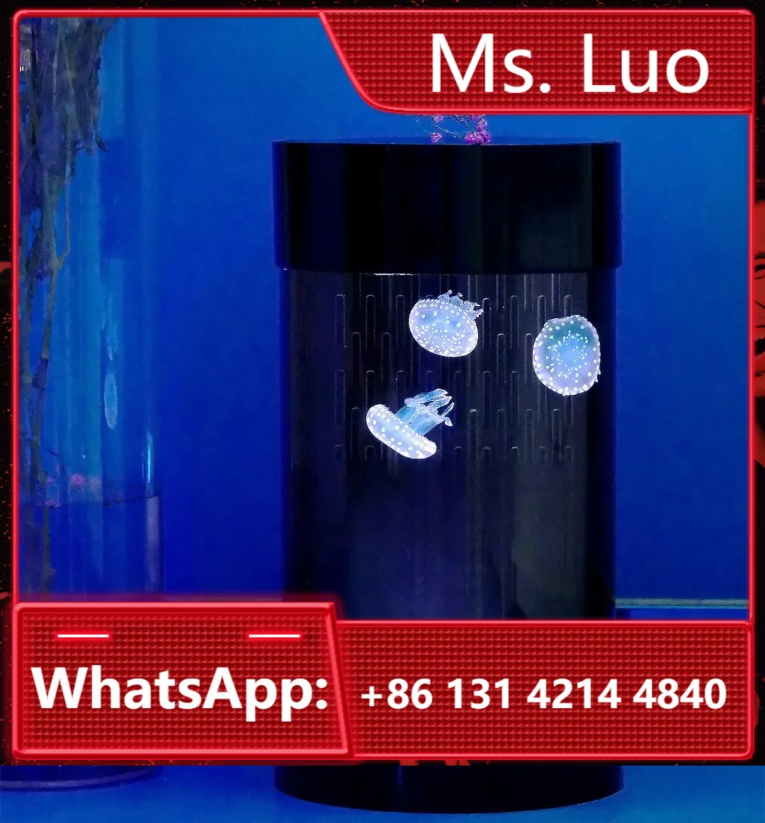 Akuarium Ubur-ubur Silinder Te - Aquarium Fish Amazon ulasan dan harga