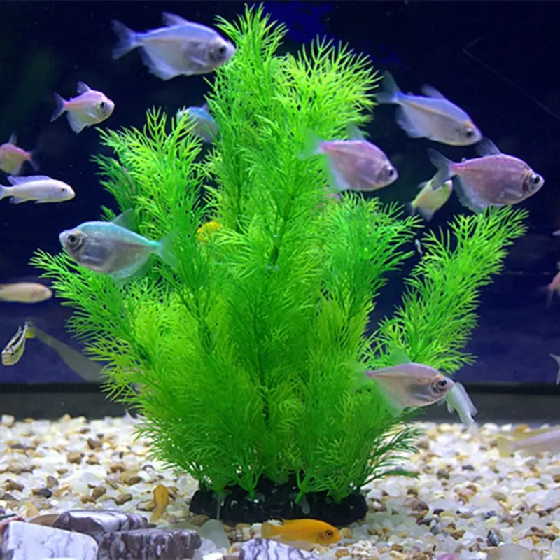 Tanaman Dekorasi Akuarium Buat - Aquarium Fish Enrichment ulasan dan harga