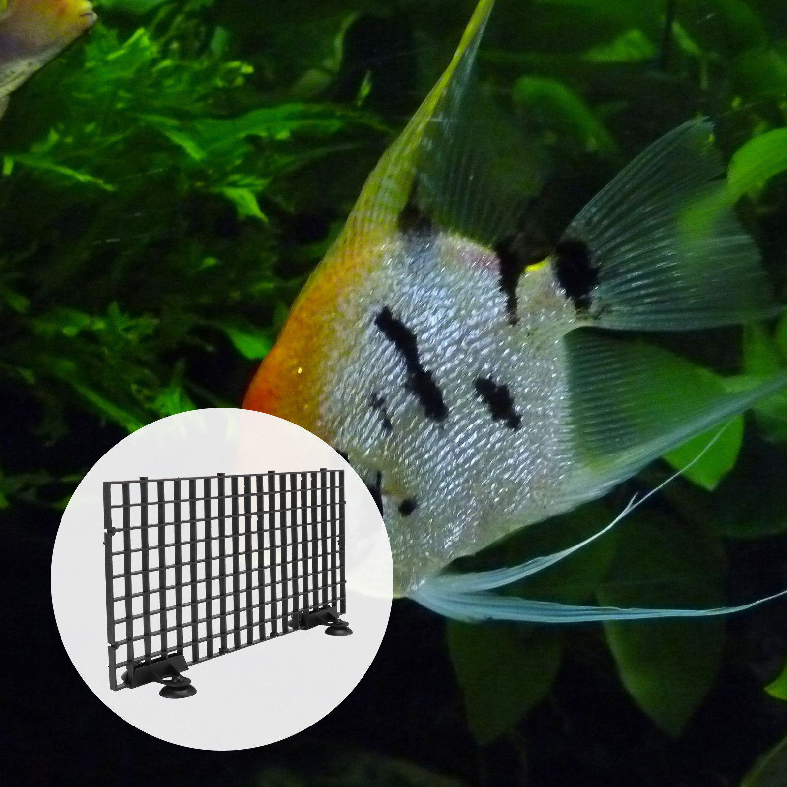 Jaring Pemelihara Ikan Ukuran  - Aquarium Fish Net Big Size ulasan dan harga