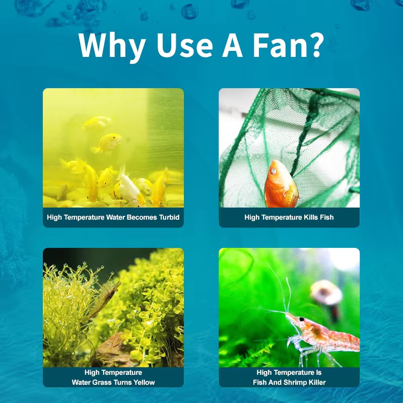 Kipas Pendingin Akuarium Jebao - Fish Co Aquarium ulasan dan harga