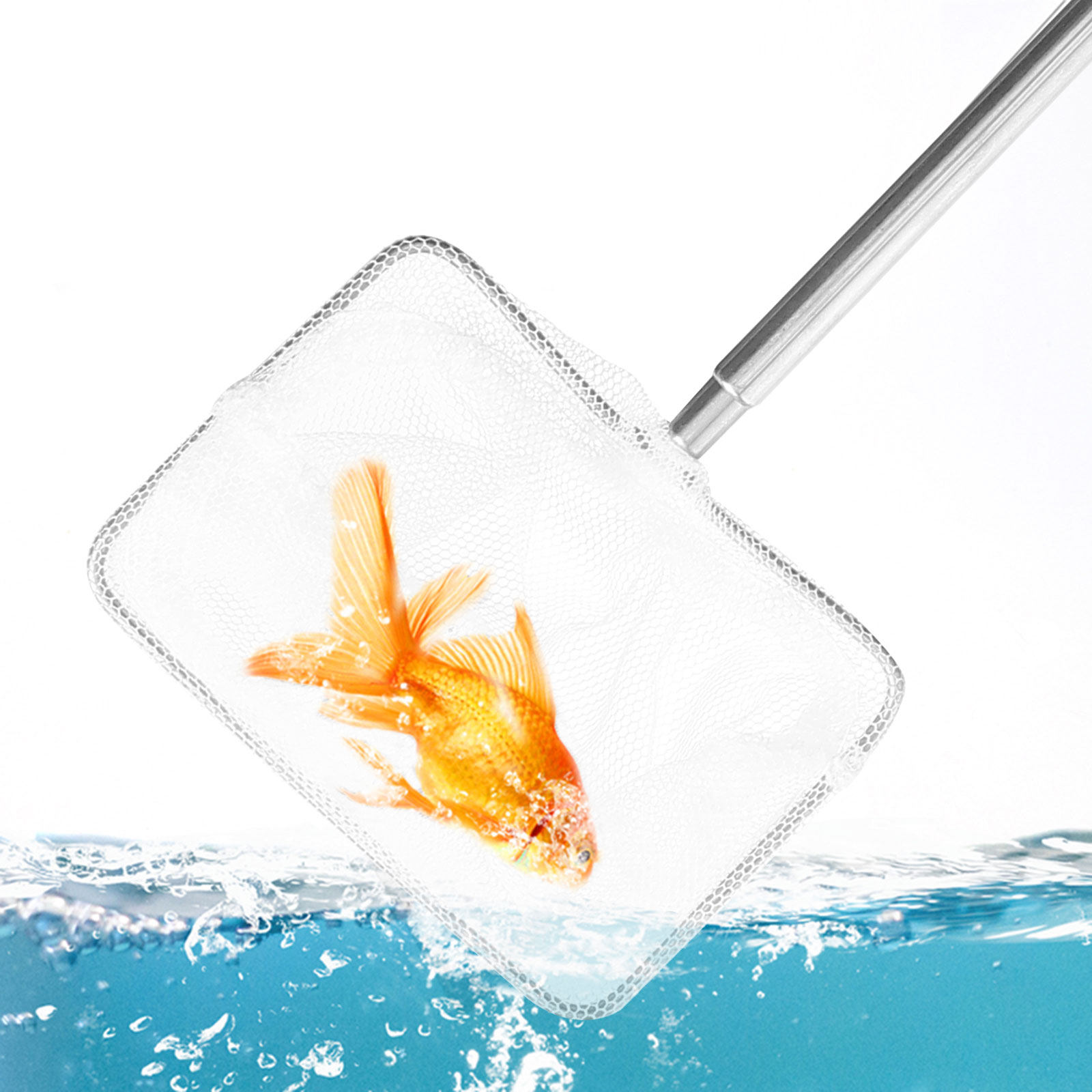 Jaring Pancing Stainless Steel - Aquarium Fish Net Small ulasan dan harga
