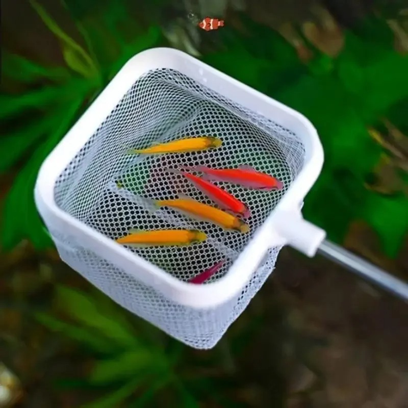 Jaring Ikan Teleskopik Gagang  - Aquarium Fish Net Small ulasan dan harga