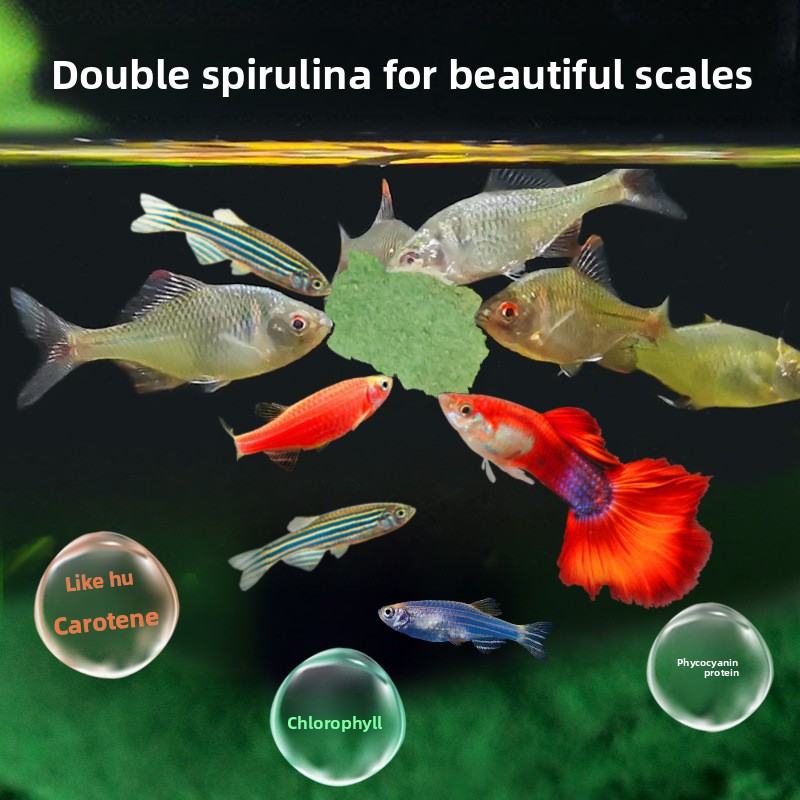 DEERA Tropical Fish Flakes, Pa - Fish Food Flake ulasan dan harga