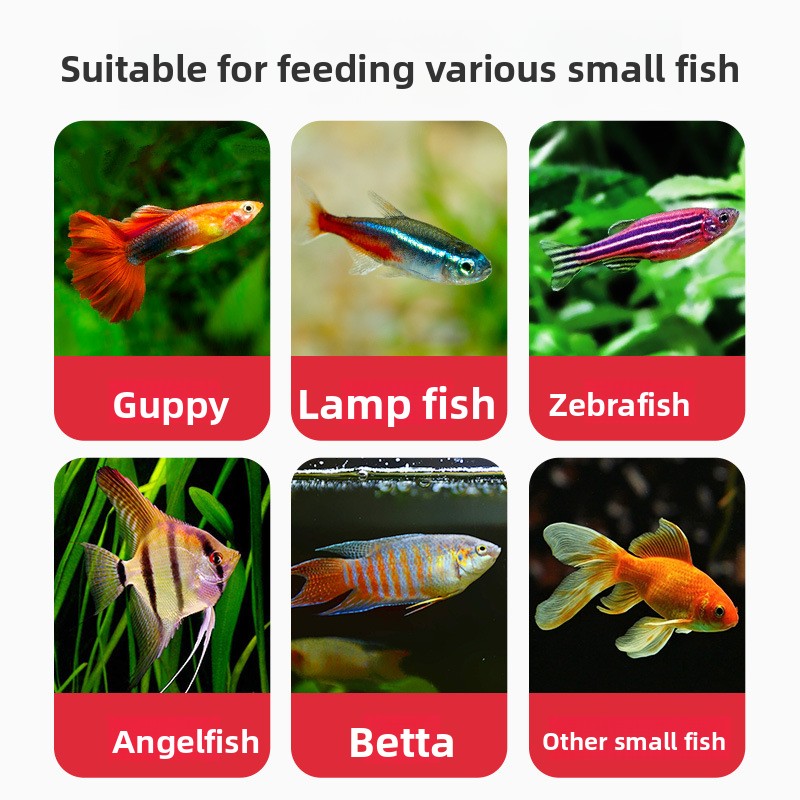 DEERA Tropical Fish Flakes, Pa - Fish Food Flake ulasan dan harga