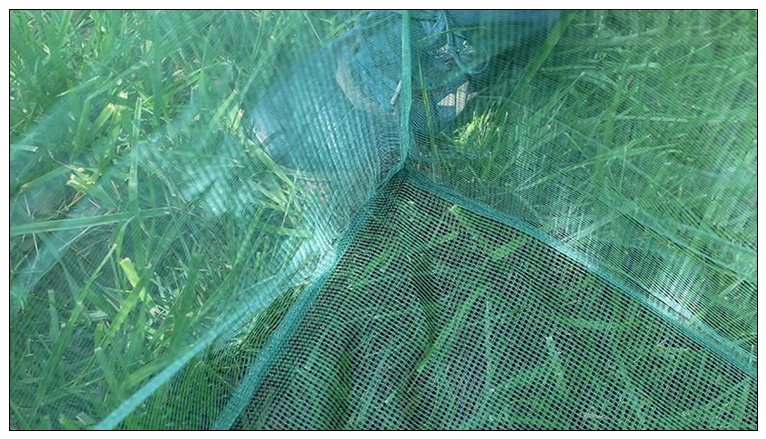 Memancing 3mm pancang jala kec - Aquarium Fish Net Small ulasan dan harga