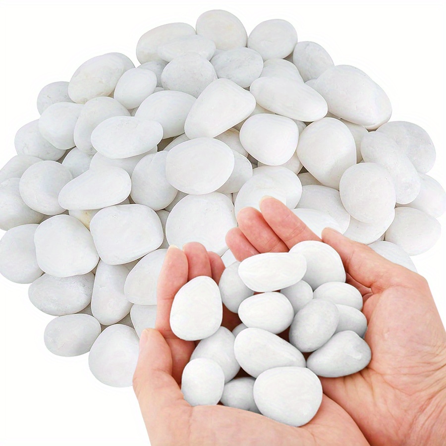 200/400g Batu Kerikil Putih Po - Aquarium Fish To Buy ulasan dan harga