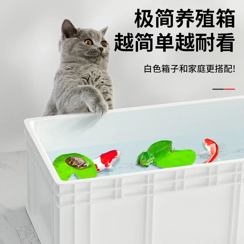 Akuarium kura-kura besar, filt - Fish Co Aquarium ulasan dan harga