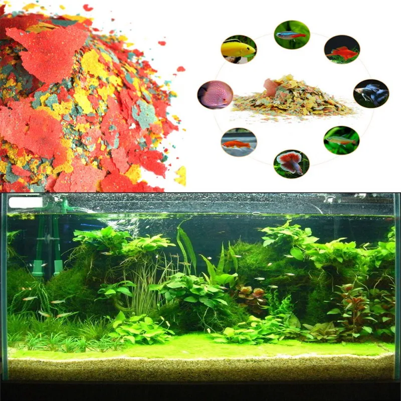 Pewarna Makanan Ikan dan Pakan - Fish Food Flake ulasan dan harga