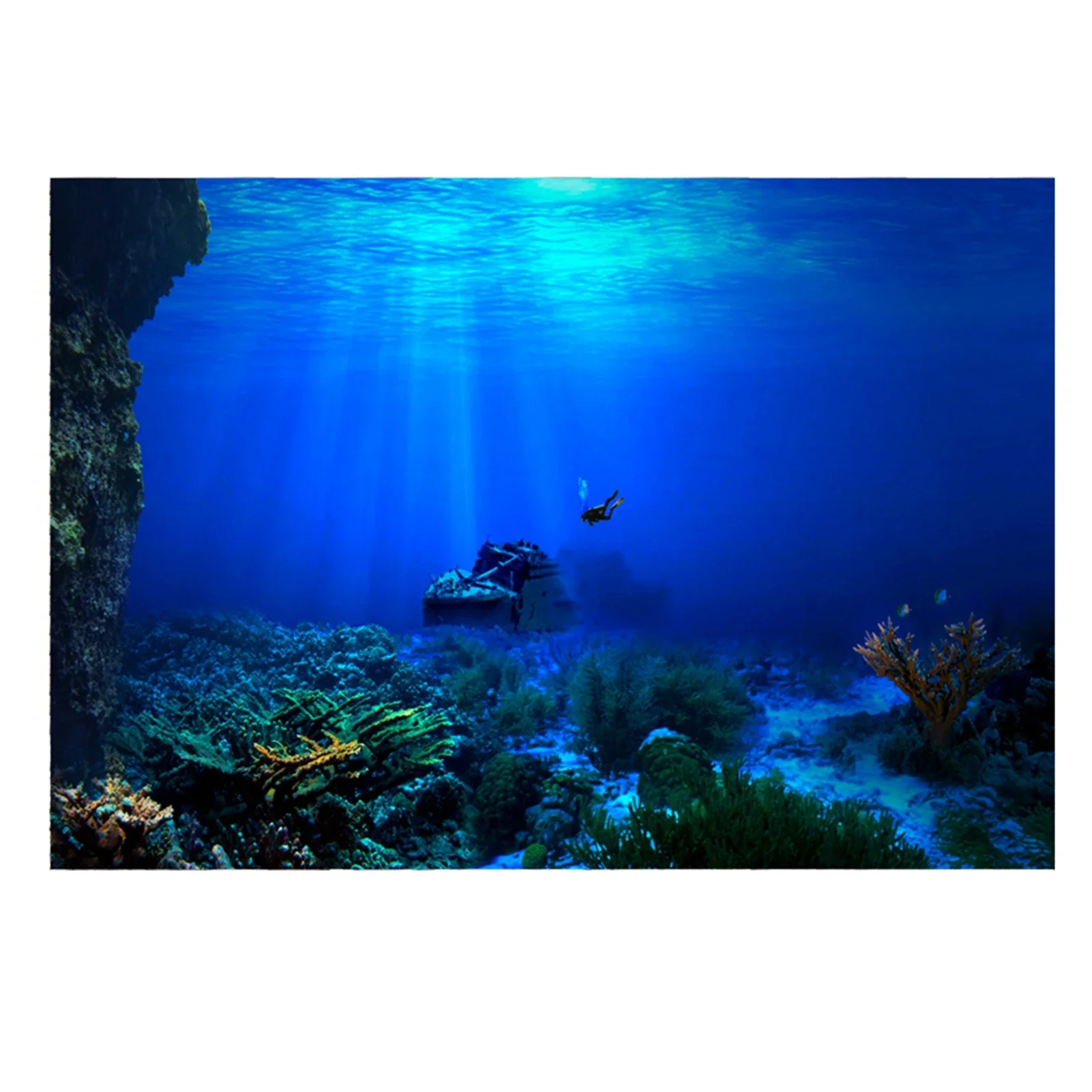 Hutan hujan akuarium Poster la - Aquarium Fish World ulasan dan harga