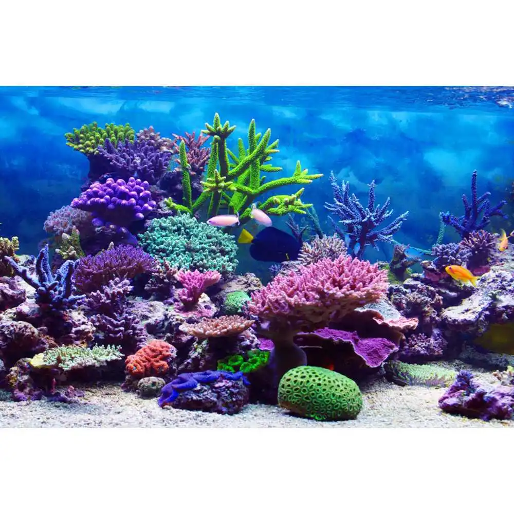 Latar Belakang Dunia Bawah Lau - Aquarium Fish World ulasan dan harga