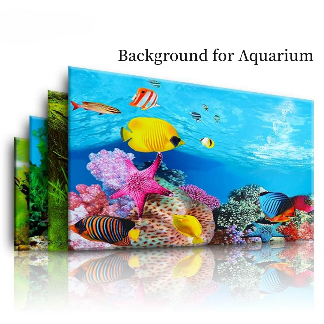 Latar belakang akuarium 3D sti - Aquarium Fish Enrichment ulasan dan harga