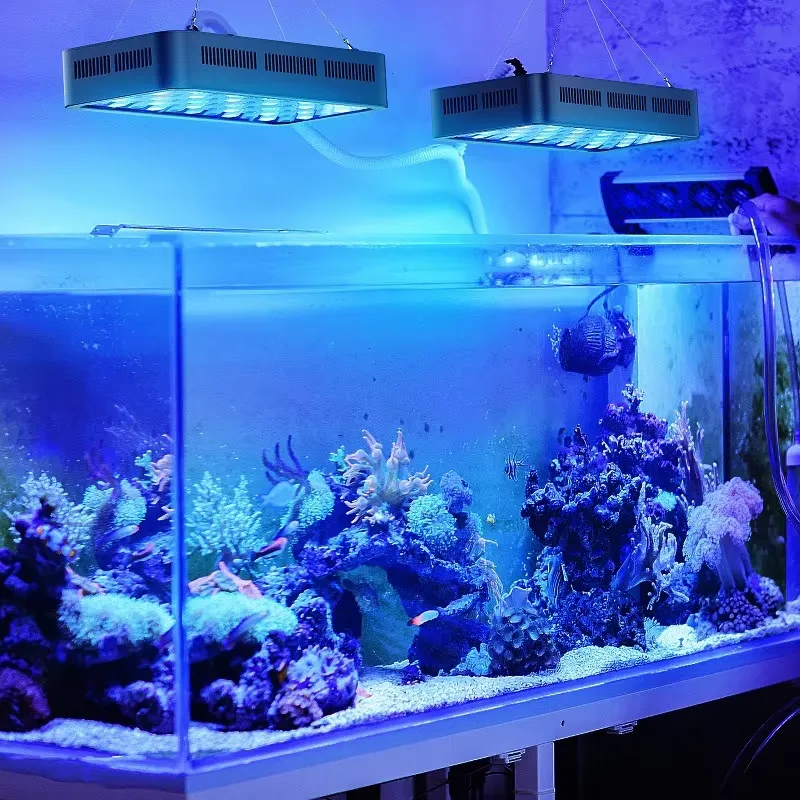 Lampu LED Akuarium Tanaman Ter - Aquarium Fish App ulasan dan harga
