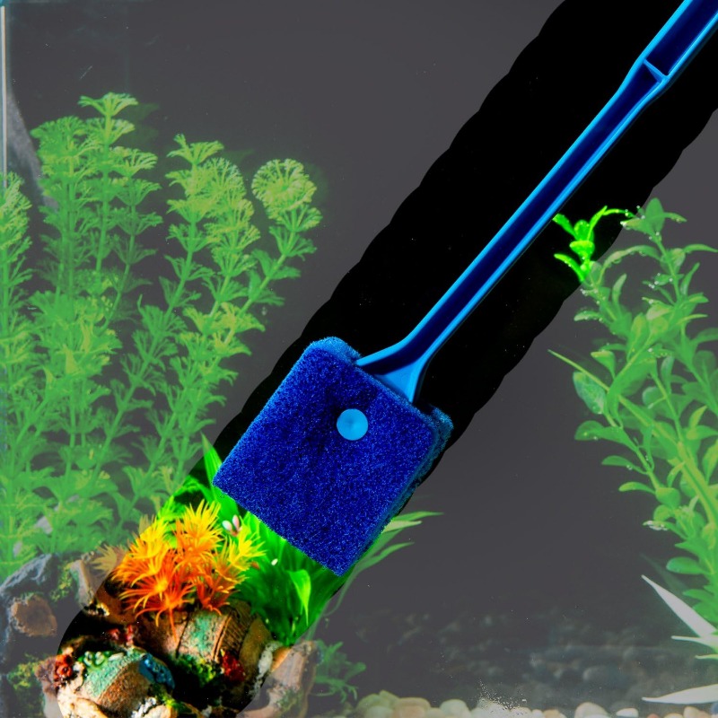 Pengeruk ganggang akuarium, si - Aquarium Fish Long ulasan dan harga