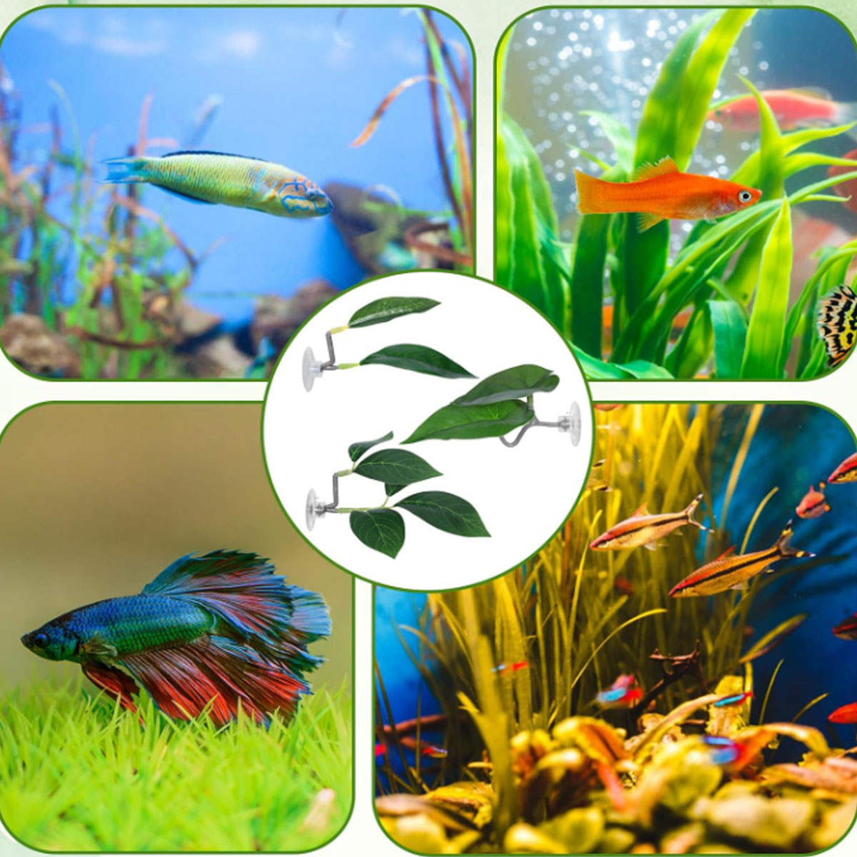 1 Buah Tempat Tidur Ikan Betta - Aquarium Fish Enrichment ulasan dan harga