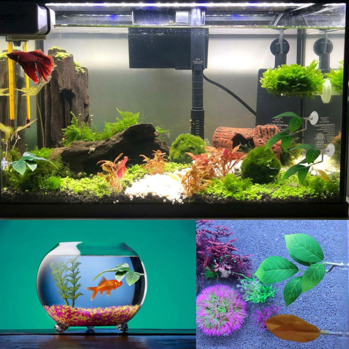 1 Buah Tempat Tidur Ikan Betta - Aquarium Fish Enrichment ulasan dan harga