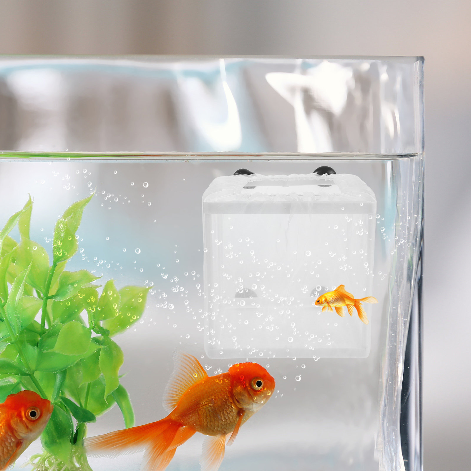 2 Buah Kotak Isolasi Pembiakan - Aquarium Fish Net Small ulasan dan harga