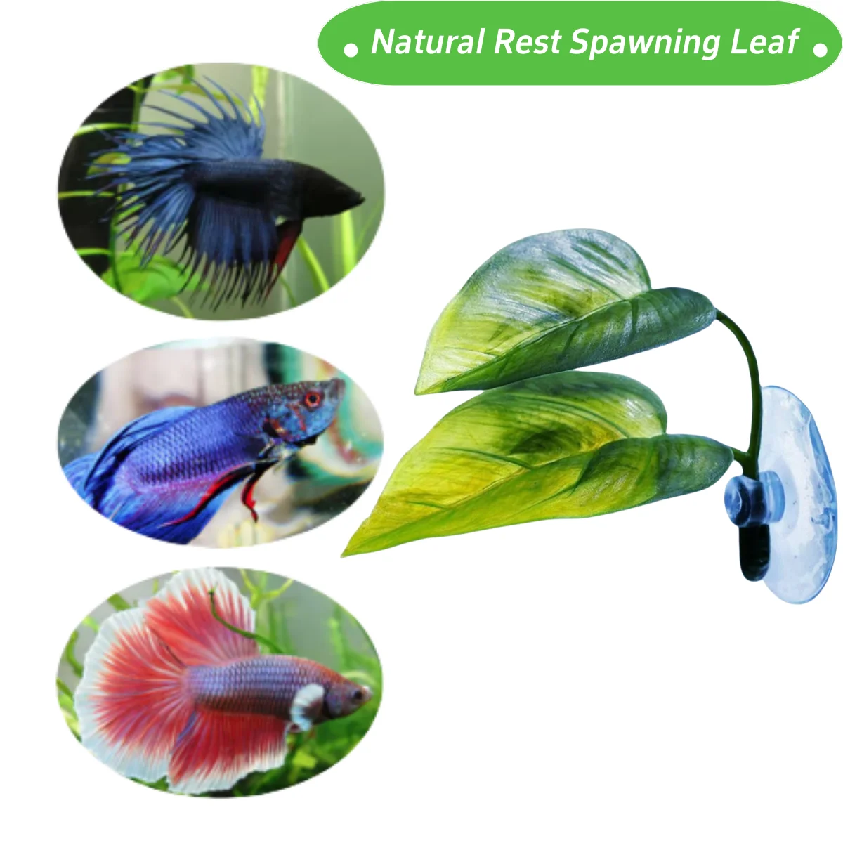 Dekorasi Akuarium Ikan Hias, T - Aquarium Fish Enrichment ulasan dan harga