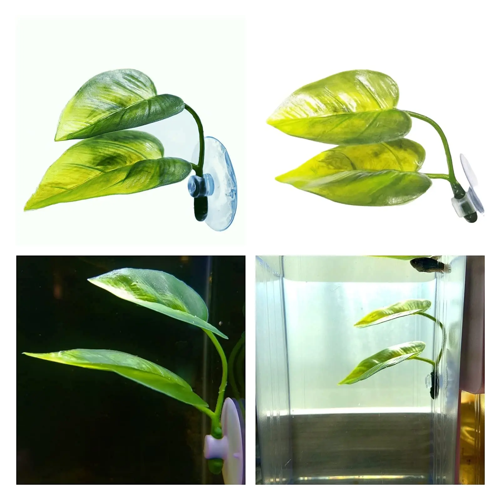 Dekorasi Akuarium Ikan Hias, T - Aquarium Fish Enrichment ulasan dan harga