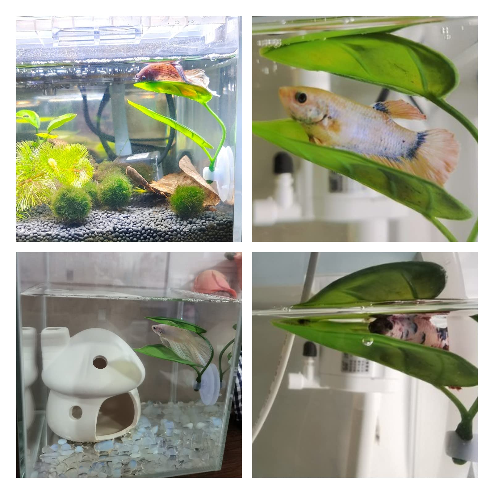 Dekorasi Akuarium Ikan Hias, T - Aquarium Fish Enrichment ulasan dan harga