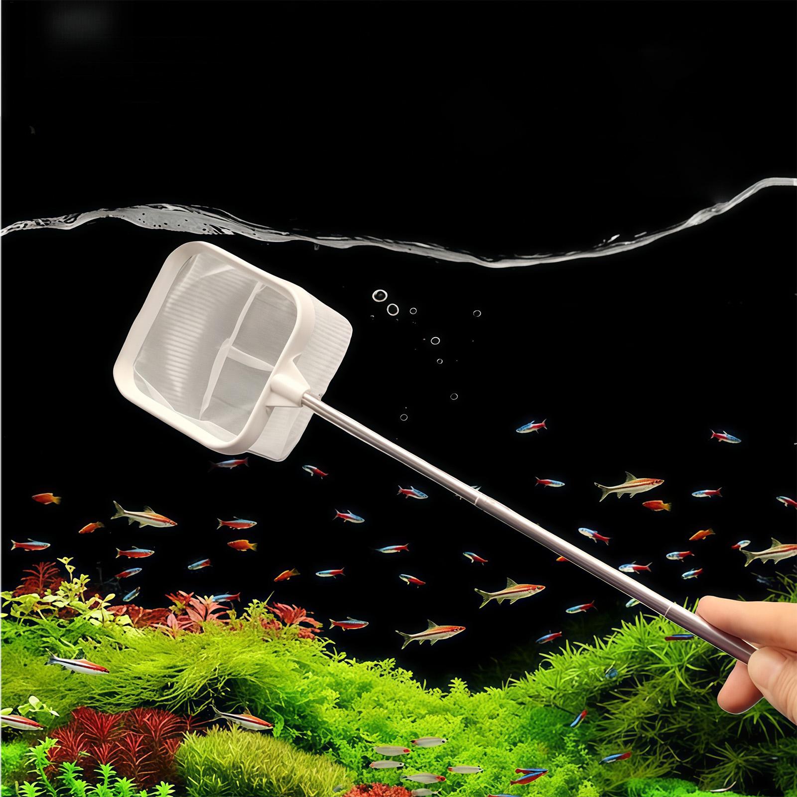 Alat Penyaring Ikan Akuarium J - Aquarium Fish Long ulasan dan harga