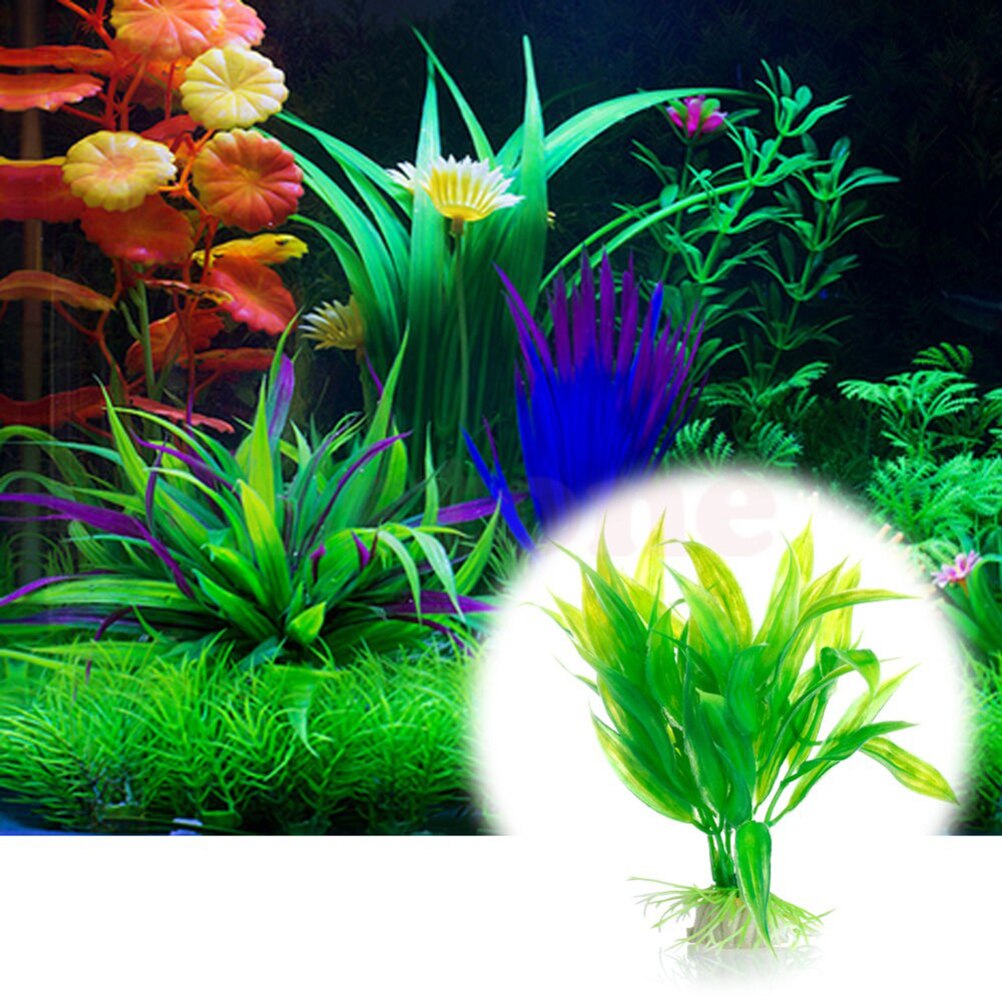 Tanaman dekorasi akuarium buat - Aquarium Fish Enrichment ulasan dan harga