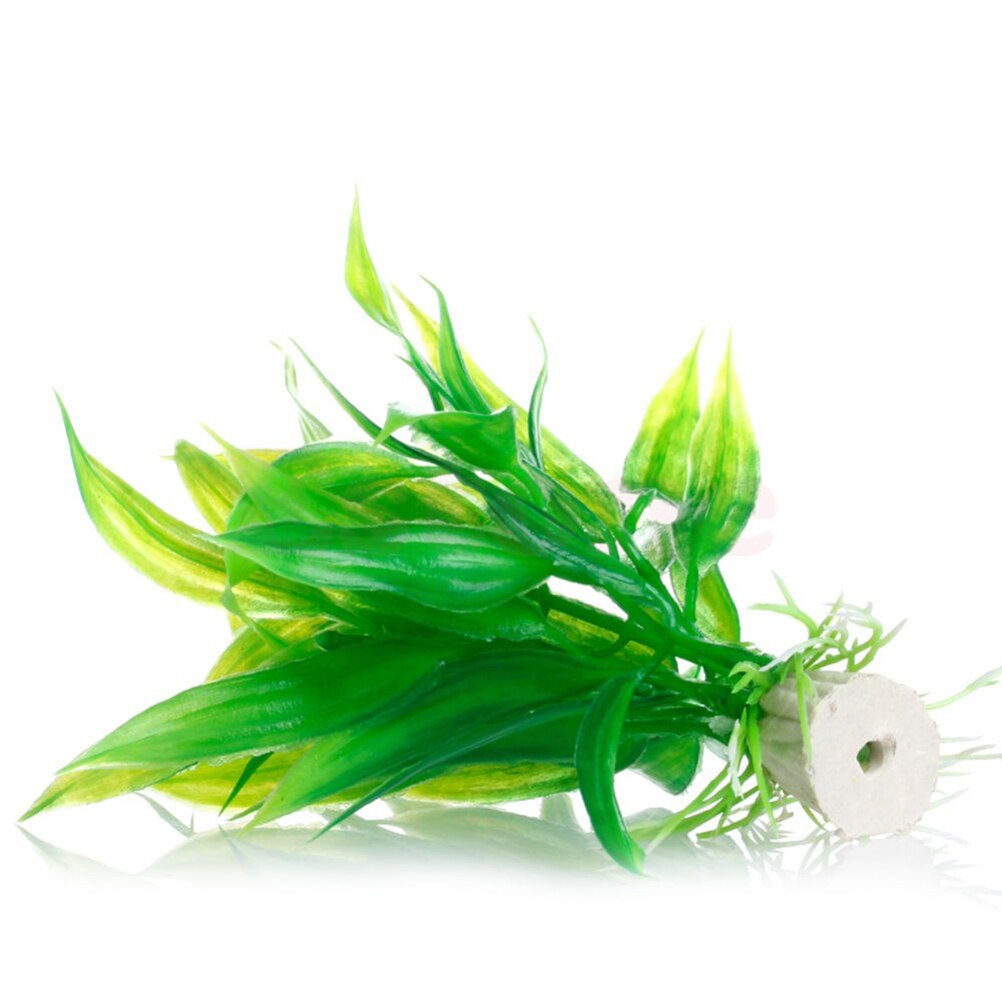 Tanaman dekorasi akuarium buat - Aquarium Fish Enrichment ulasan dan harga