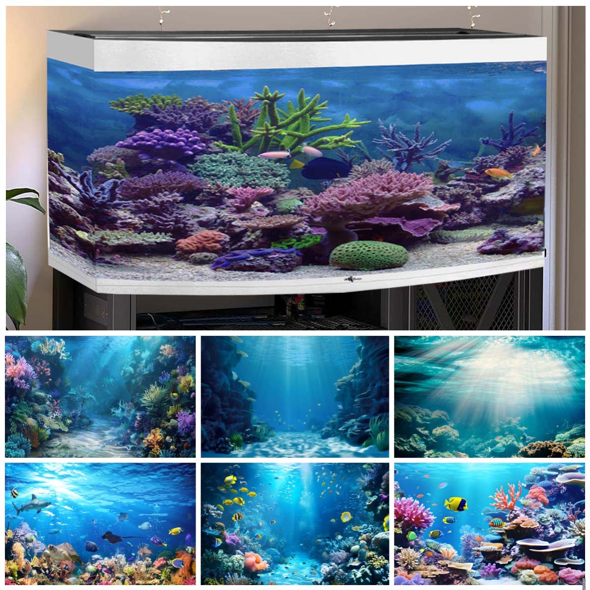Latar Belakang Dunia Bawah Lau - Aquarium Fish World ulasan dan harga