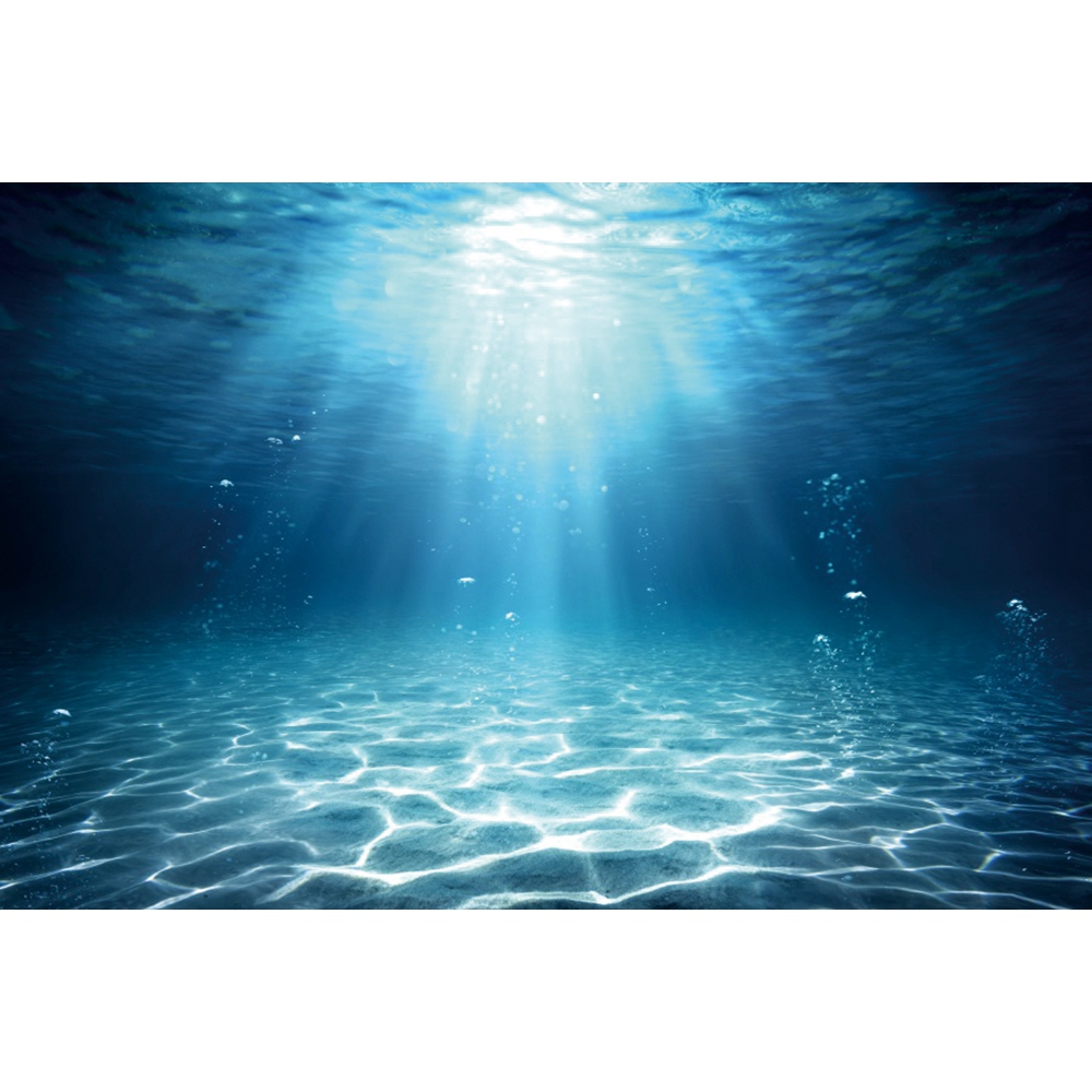 Studio foto potret bayi, latar - Aquarium Fish World ulasan dan harga