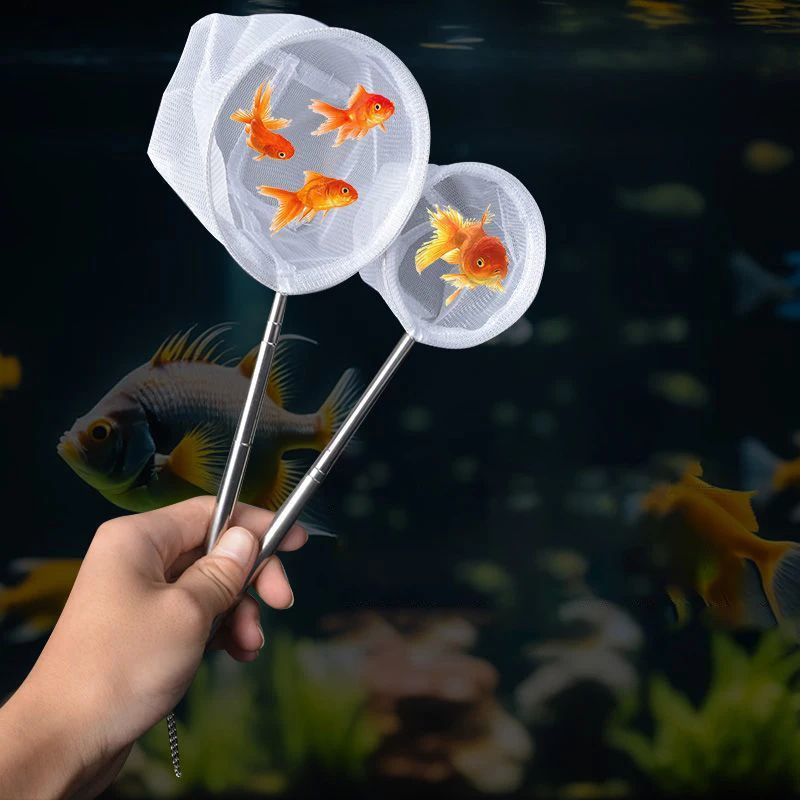 Jaring Ikan Akuarium Baja Taha - Aquarium Fish Net Small ulasan dan harga