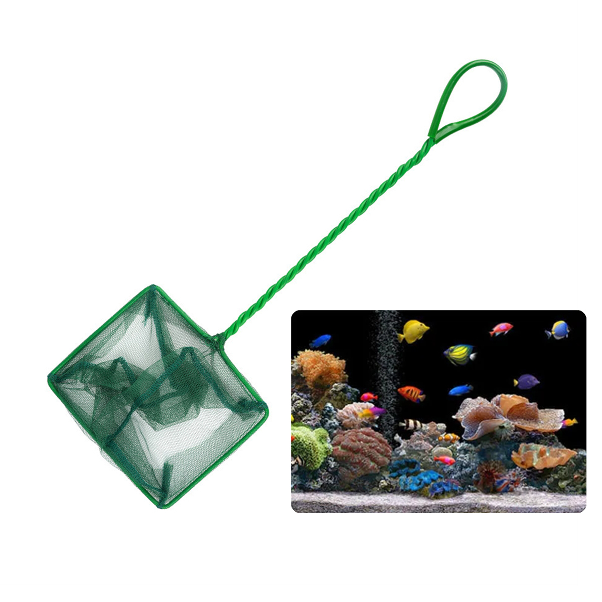 Jaring ikan hijau nilon portab - Aquarium Fish Long ulasan dan harga