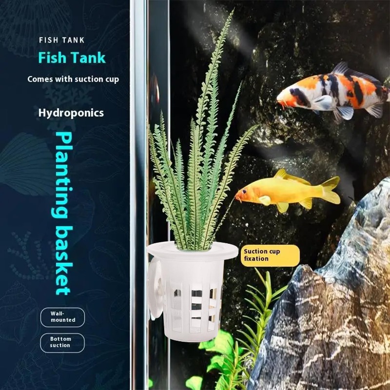 10/20/30Pcs Cangkir Tanam Akua - Aquarium Fish Enrichment ulasan dan harga