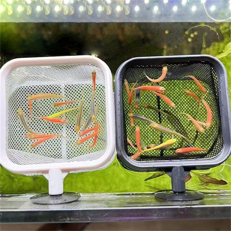 AquariumFish jaring ikan baja  - Aquarium Fish Net Small ulasan dan harga