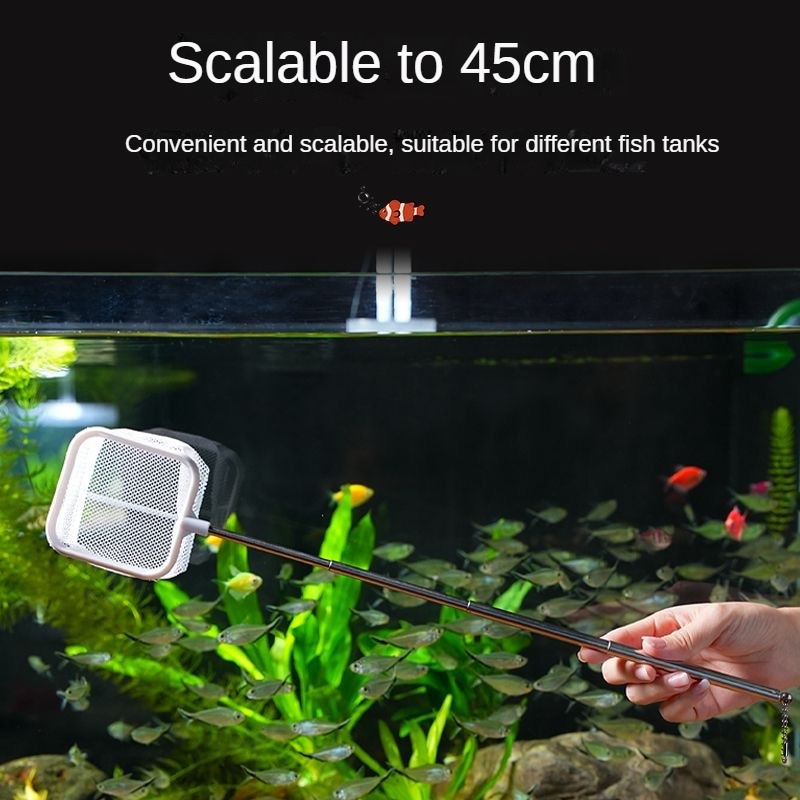 Jaring ikan akuarium 3D baja t - Aquarium Fish Net Small ulasan dan harga