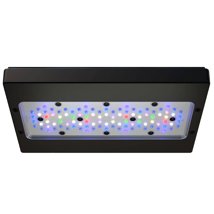 Lampu LED Akuarium Terumbu Kar - Aquarium Fish App ulasan dan harga