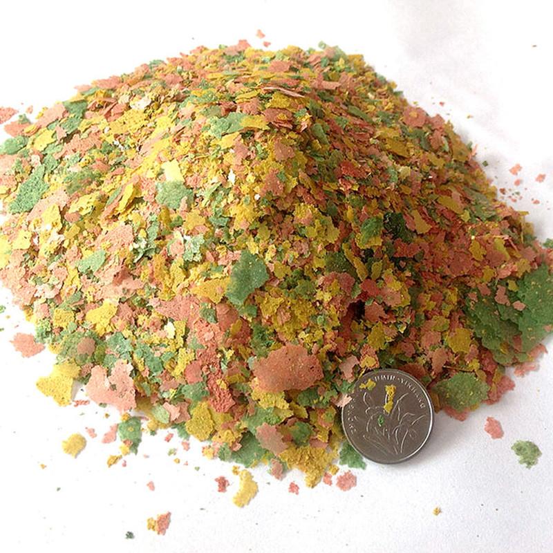 Ikan Ornamental tipis Slice ma - Aquarium Fish Vitamin ulasan dan harga