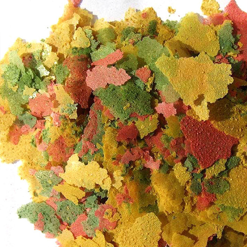 Ikan Ornamental tipis Slice ma - Aquarium Fish Vitamin ulasan dan harga