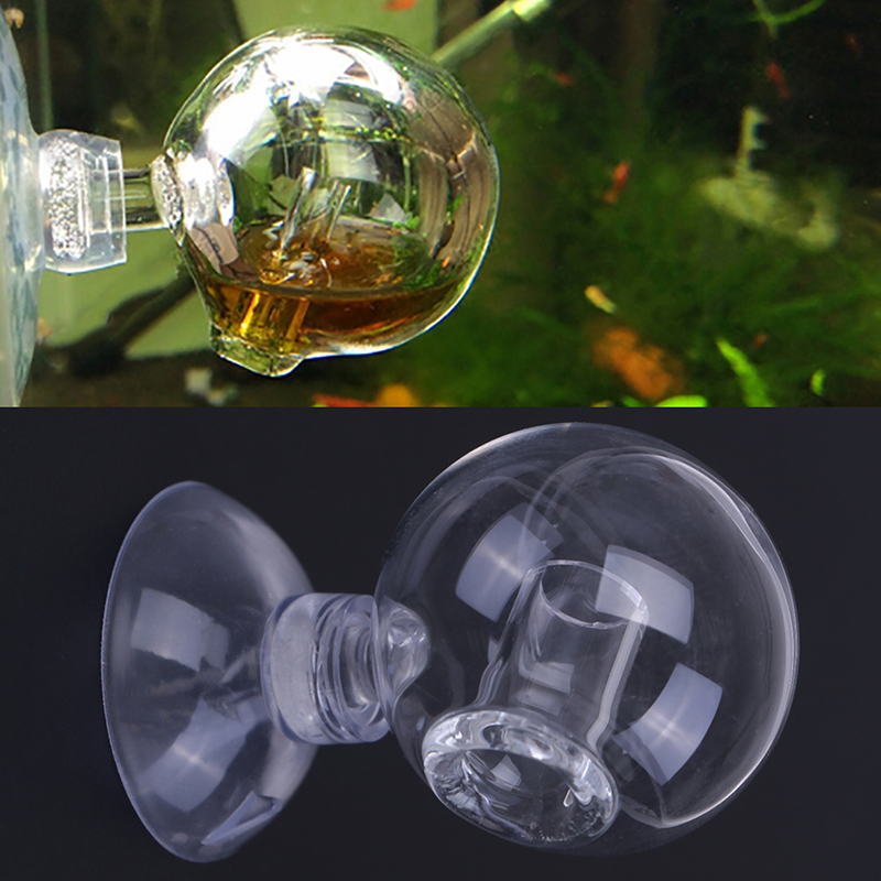 Detektor Sensor akuarium, kaca - Aquarium Fish To Buy ulasan dan harga