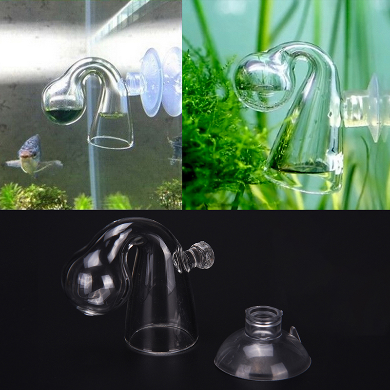 Detektor Sensor akuarium, kaca - Aquarium Fish To Buy ulasan dan harga